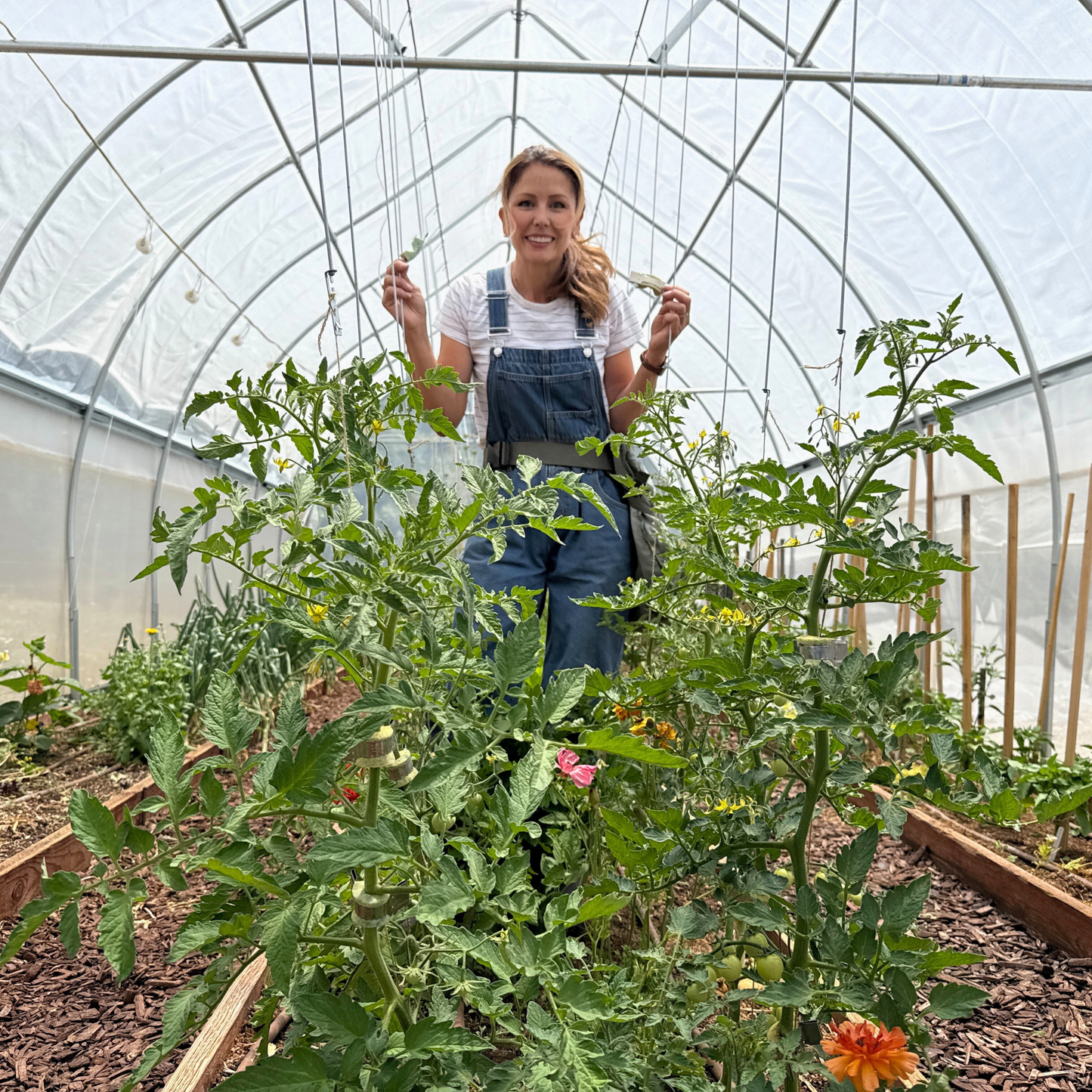 Qlipr Trellising System - Blessings Grow Meadows