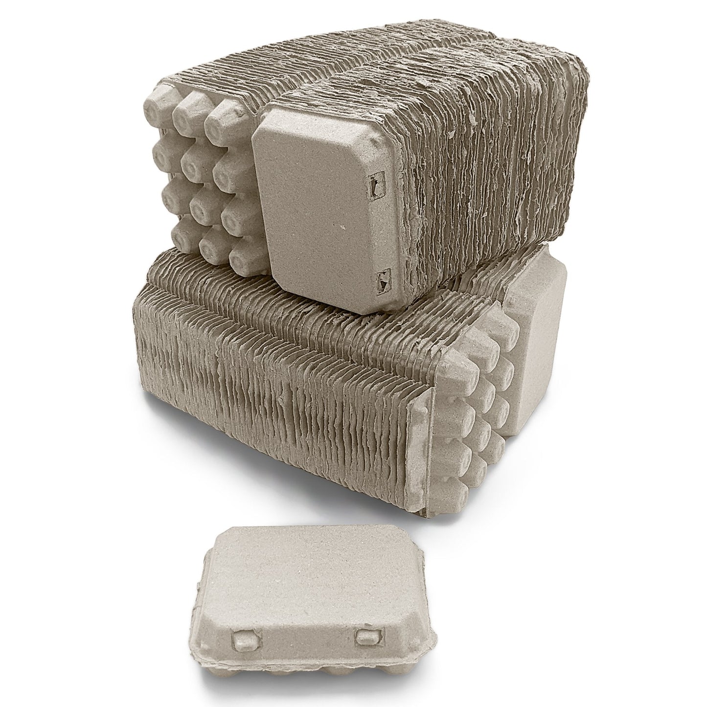 Henlay Quail 12-Egg Carton, 3x4 design, Qty 30, 144 - Blessings Grow Meadows