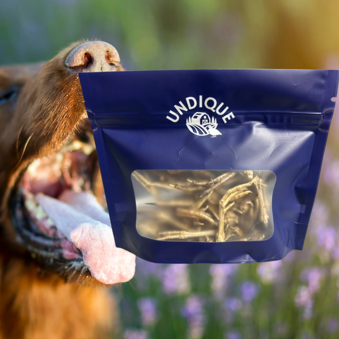 Quailz.com Quail Feet Dog Treats Training Pack with natural quail feet for training and rewarding dogs.