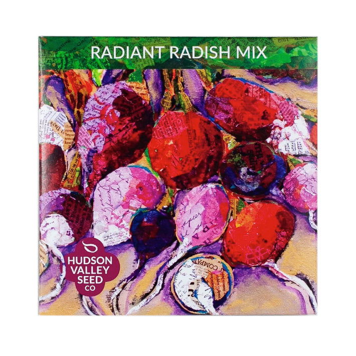 Radiant Radish Mix - Blessings Grow Meadows -