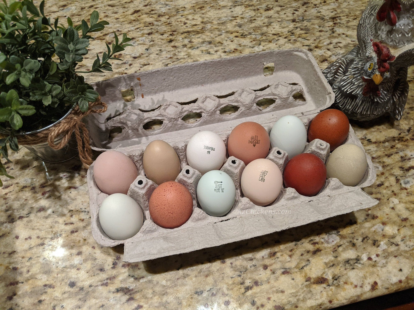 Rainbow Egg Assortment – Buy 10 + 5 Bonus Free (15 All-Female, Shipping Included) - Blessings Grow Meadows