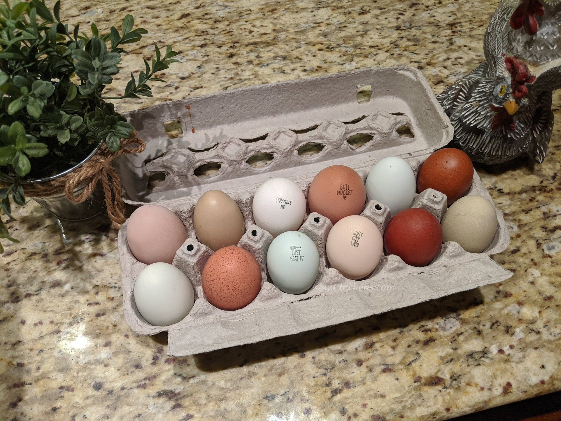 Rainbow Egg Assortment – Buy 10 + 5 Bonus Free (15 All-Female, Shipping Included) - Blessings Grow Meadows