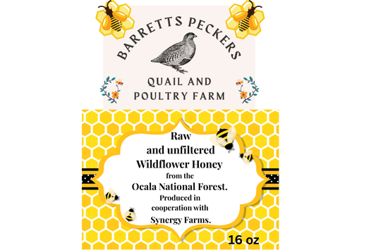 Raw and unfiltered wildflower honey from Ocala National Forest, 16oz jar by Quailz.com from Undique LLC.