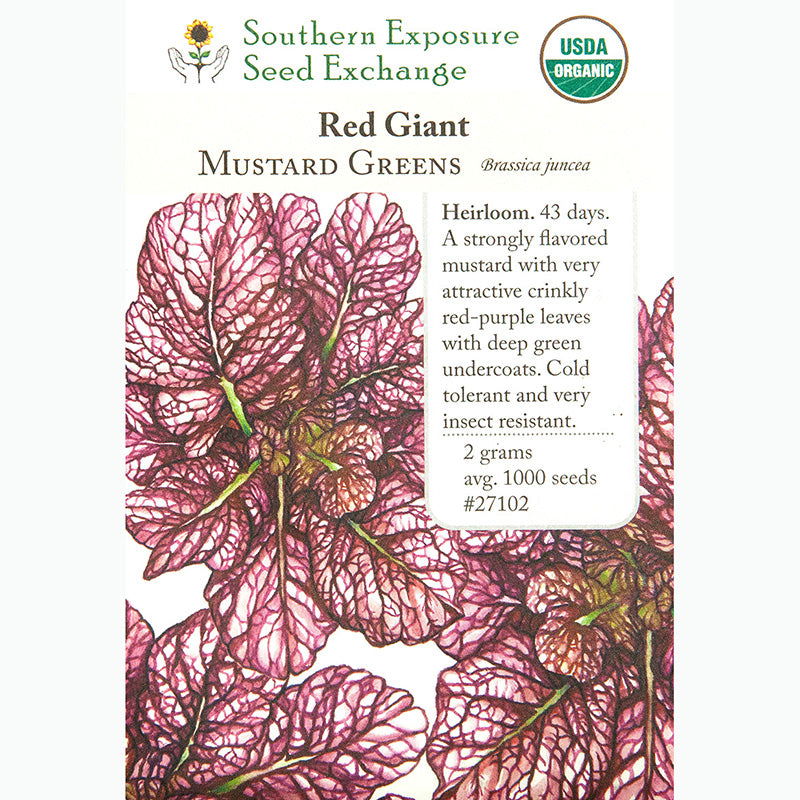 Red Giant Mustard Seeds (Organic) - Blessings Grow Meadows