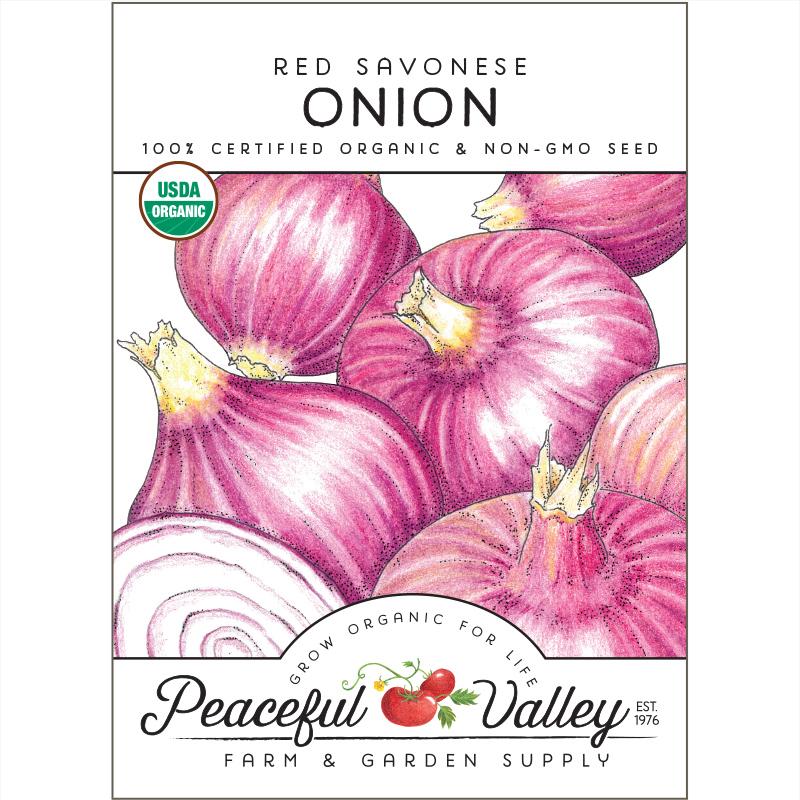 Red Savonese Onion Seeds (Organic) - Blessings Grow Meadows