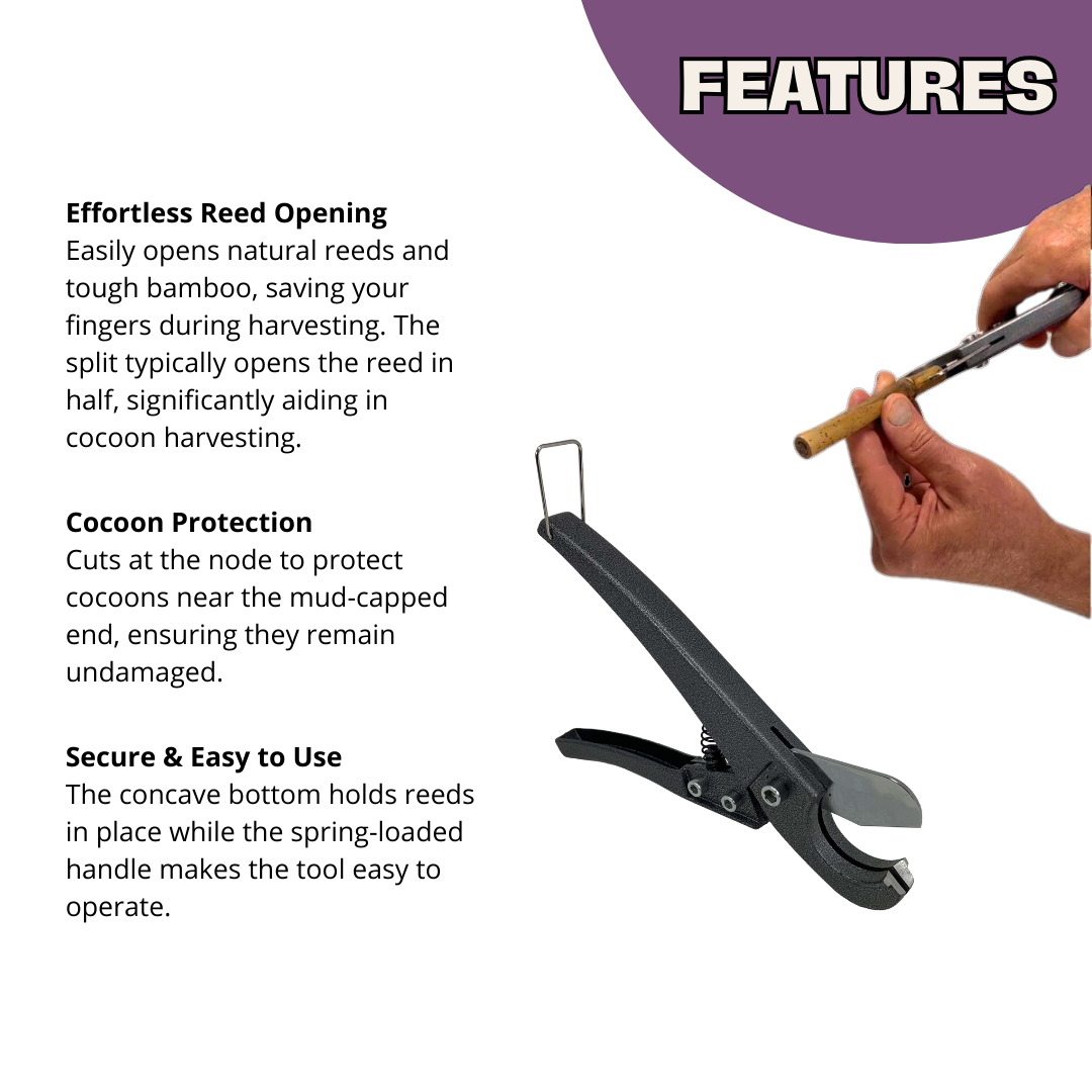 Reed Splitter - Blessings Grow Meadows