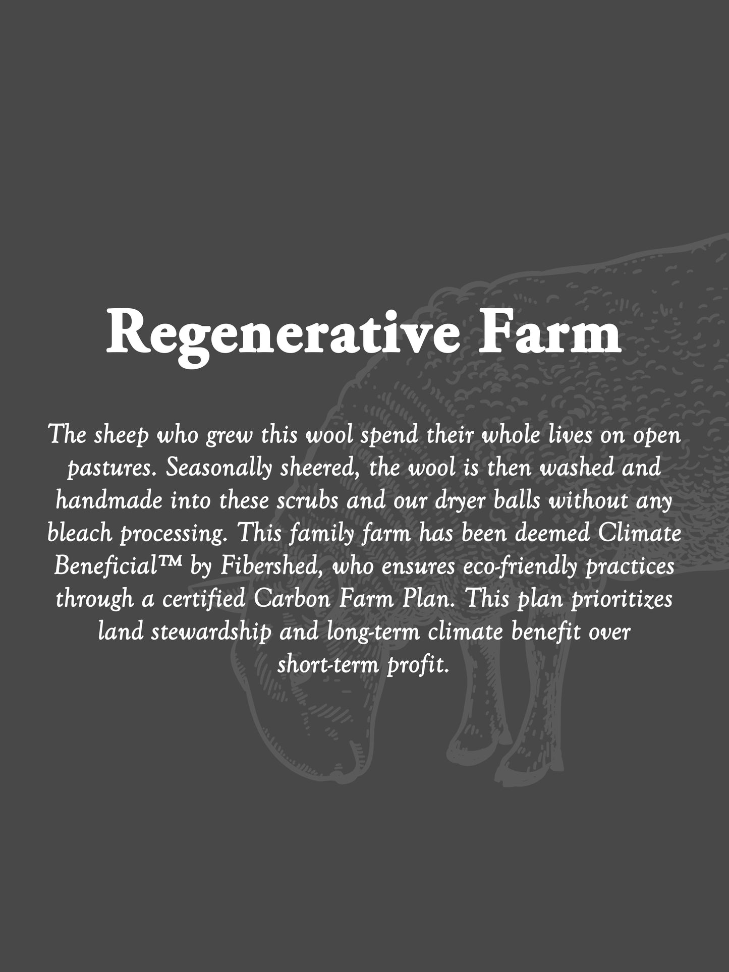 Sustainable Wool Scrub - Blessings Grow Meadows