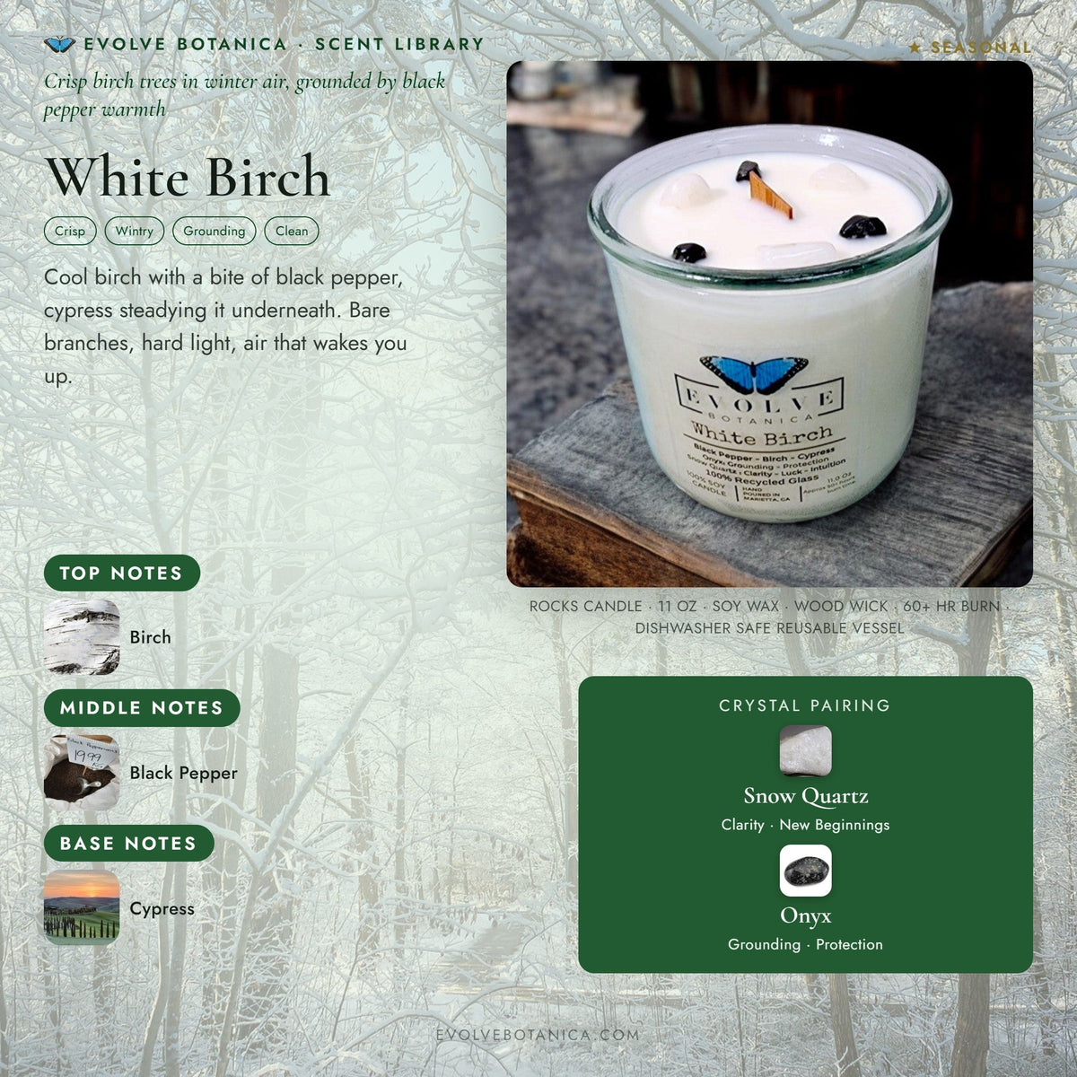 White Birch soy candle by Evolve Botanica with snow quartz and onyx gemstones, featuring a wood wick for a cozy ambiance.
