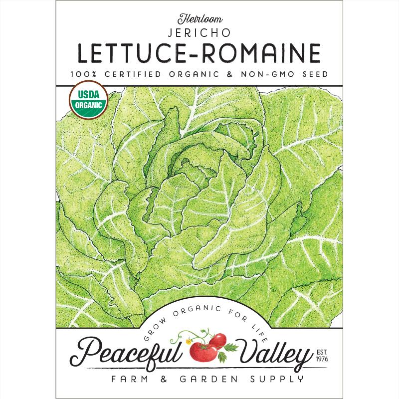 Romaine, Jericho Lettuce Seeds (Organic) - Blessings Grow Meadows