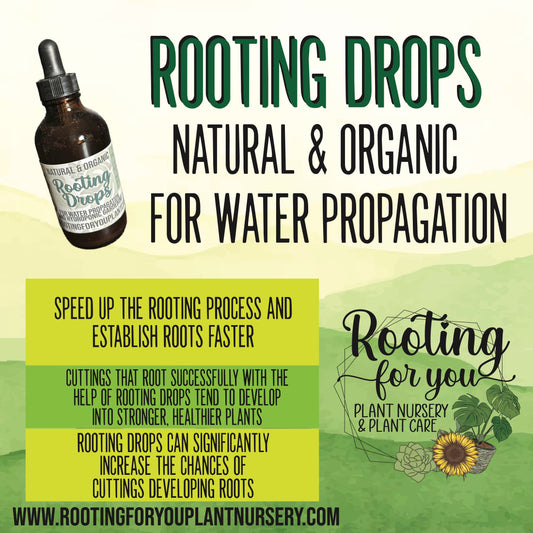 Rooting Drops 4oz - Vegan - Organic - Oregon Licensed Nursery