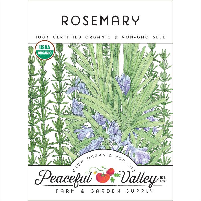 Rosemary Seeds (Organic) - Blessings Grow Meadows