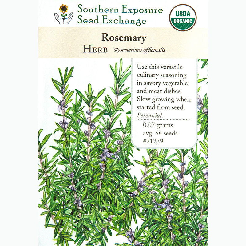 Rosemary Seeds (Organic) - Blessings Grow Meadows