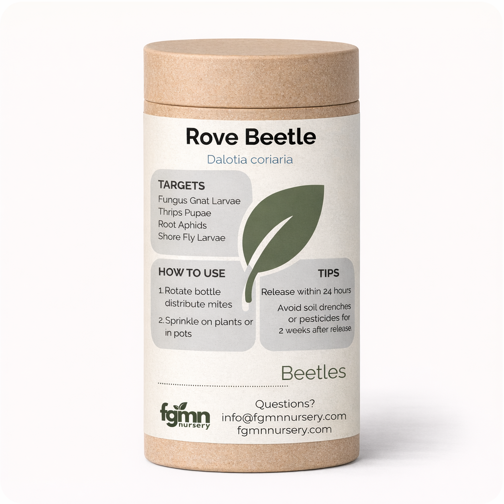Fungus gnattreatment bottle featuring Dalotia coriaria rove beetles for pest control, by FGMN Nursery.