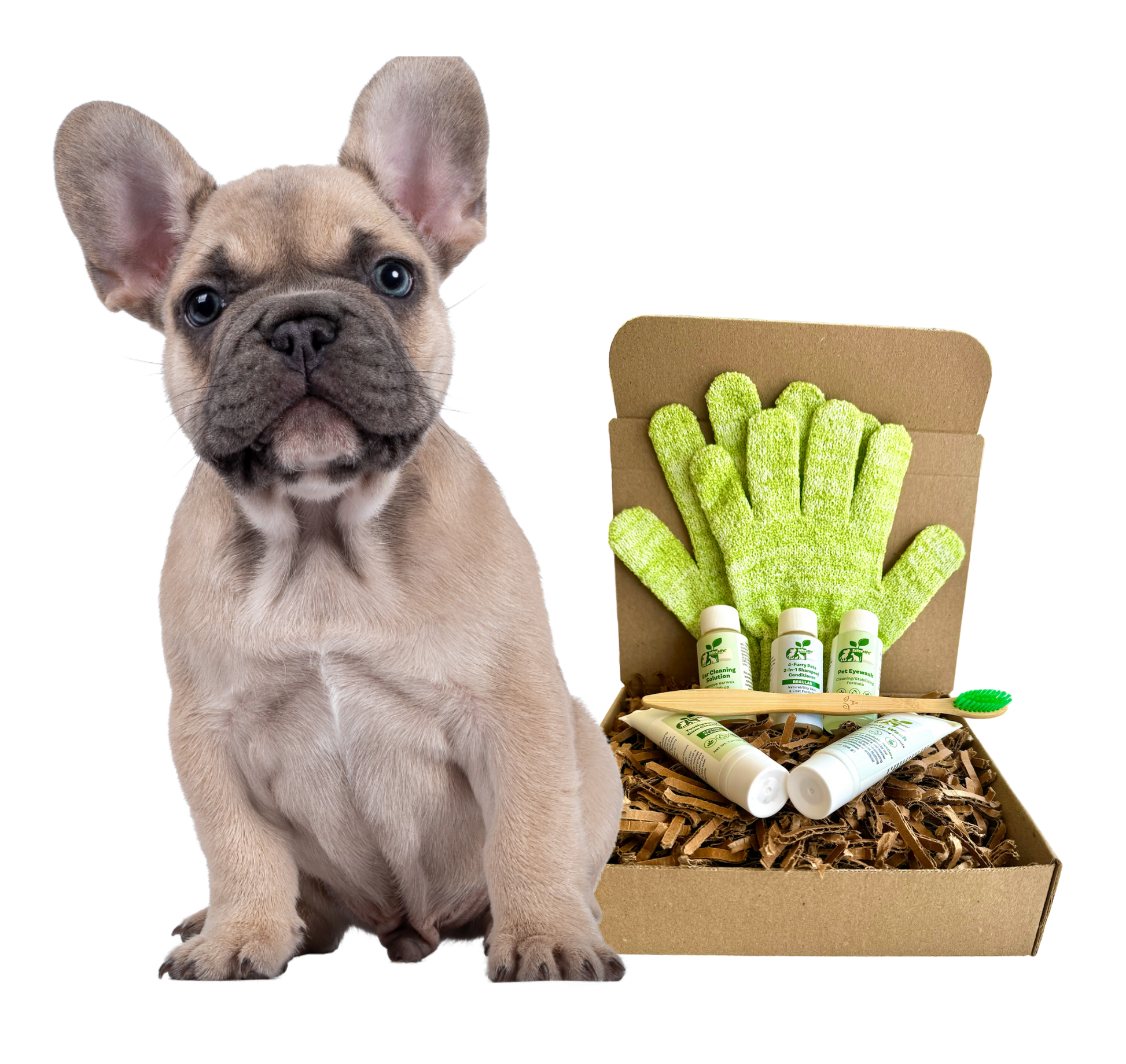 4-FURRY DOGS *REGULAR GROOMING KIT - Blessings Grow Meadows