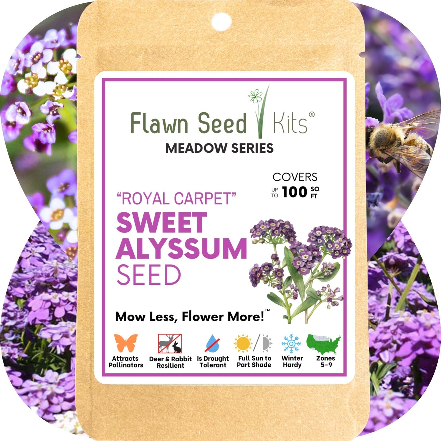 Sweet Alyssum Royal Carpet seed pouch from Flawn Seed Kits, showing seed tape for easy planting of vibrant ground cover flowers.