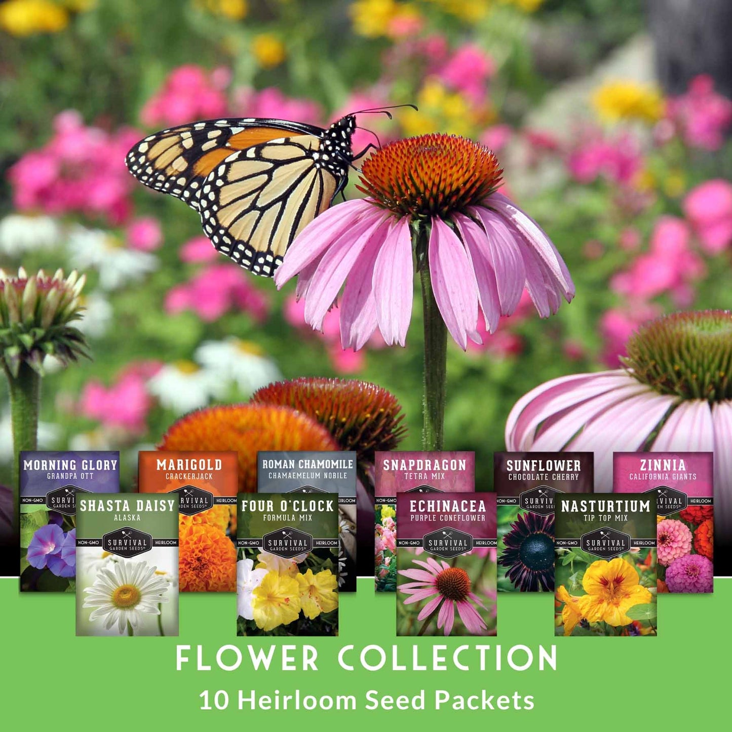 10-Variety Heirloom Flower Seed Collection – Non-GMO Annuals & Perennials for Colorful, Pollinator-Friendly Gardens - SurvivalGardenSeeds ~ Blessings Grow Meadows