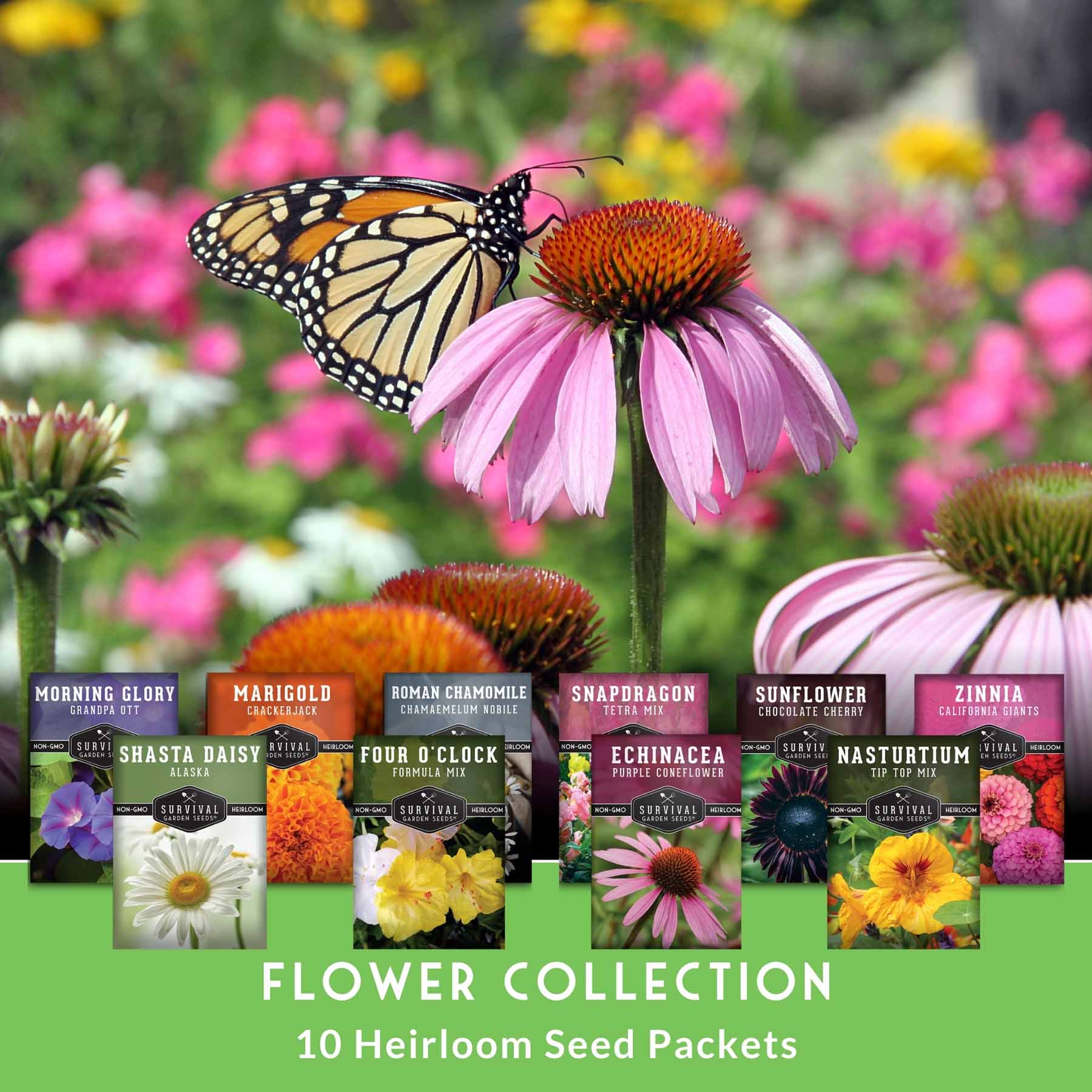 10-Variety Heirloom Flower Seed Collection – Non-GMO Annuals & Perennials for Colorful, Pollinator-Friendly Gardens - SurvivalGardenSeeds ~ Blessings Grow Meadows