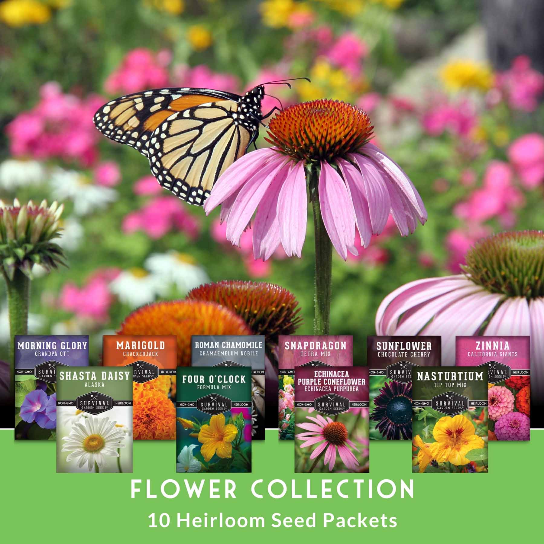 10-variety heirloom flower seed collection by SurvivalGardenSeeds, includes colorful annuals and perennials for pollinator gardens.