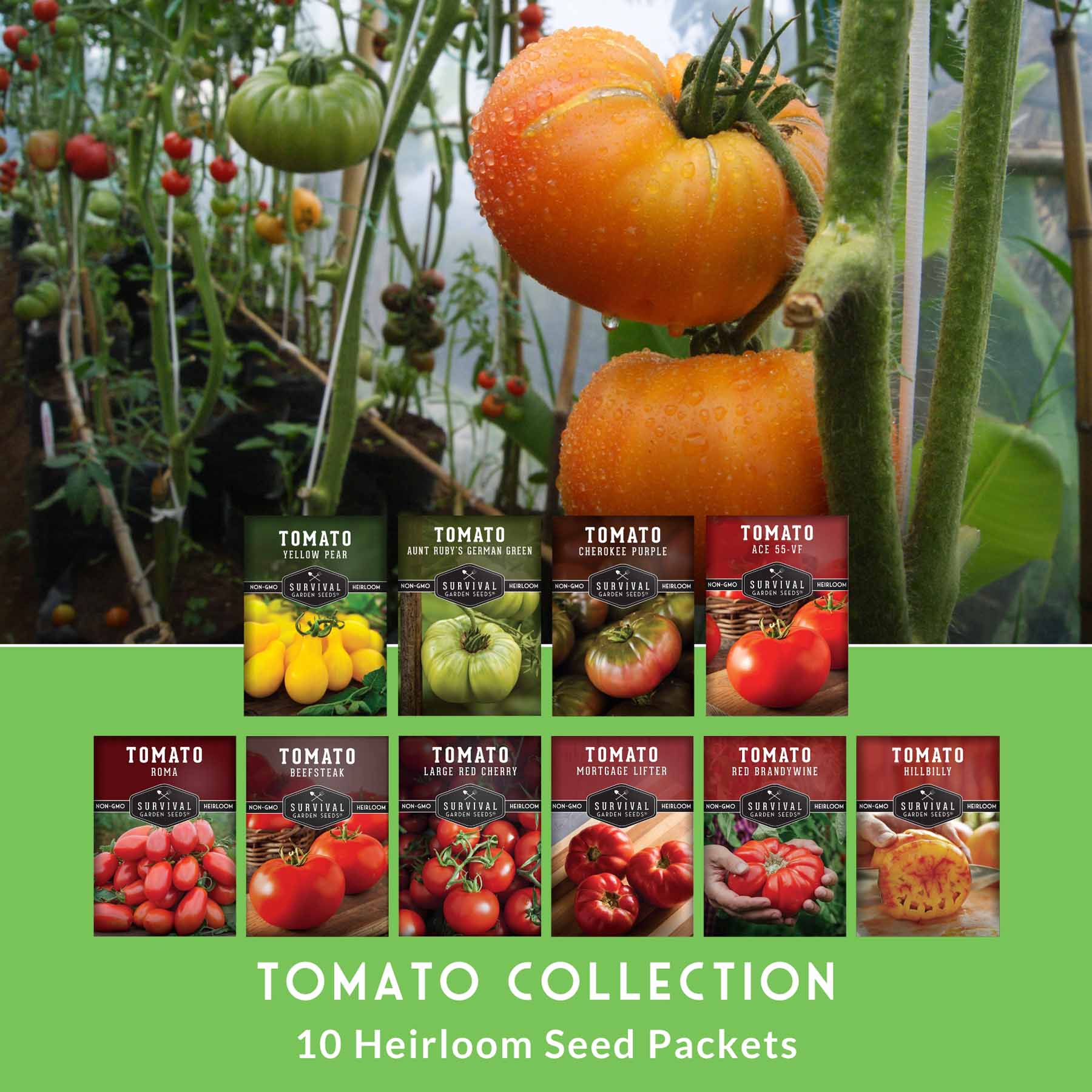 10 Tomato Seed Collection – Heirloom & Garden Favorites for Slicing, Sauces, Canning & Fresh Eating - SurvivalGardenSeeds ~ Blessings Grow Meadows