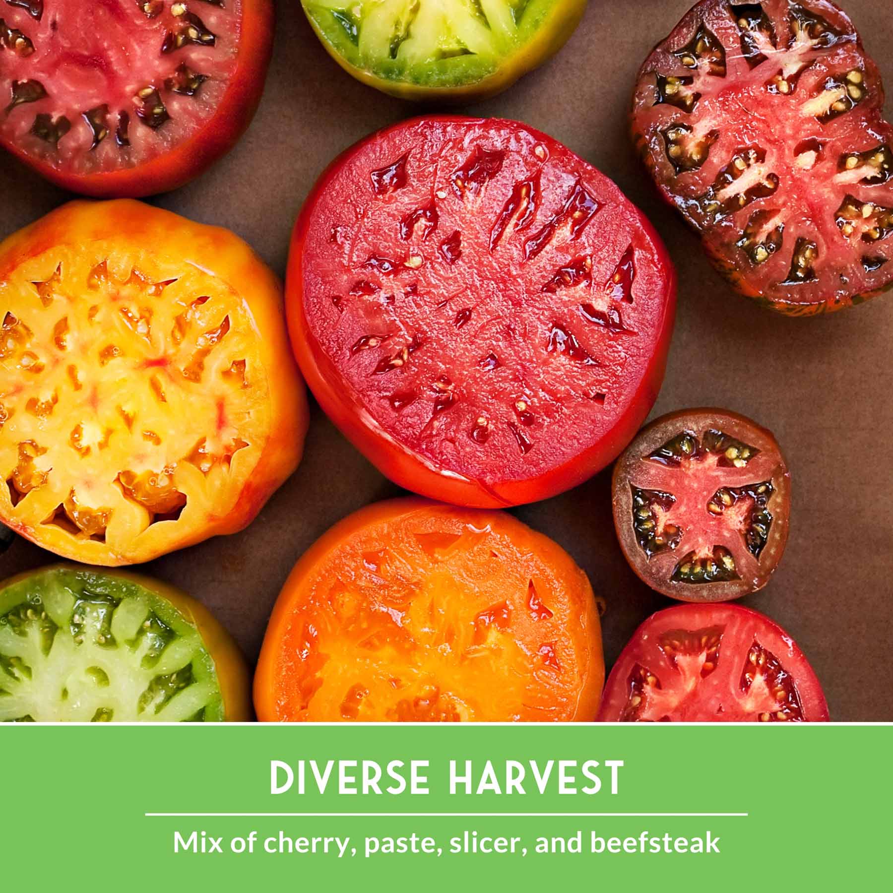 10 Tomato Seed Collection – Heirloom & Garden Favorites for Slicing, Sauces, Canning & Fresh Eating - SurvivalGardenSeeds ~ Blessings Grow Meadows