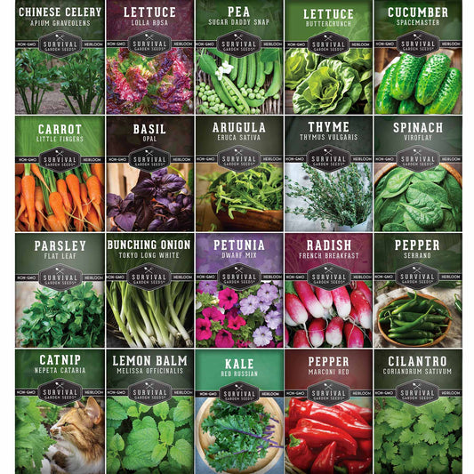 20 Variety Apartment Kit Seed Vault – Non-GMO Heirloom Seeds for Hydroponic & Indoor Small-Space Gardening