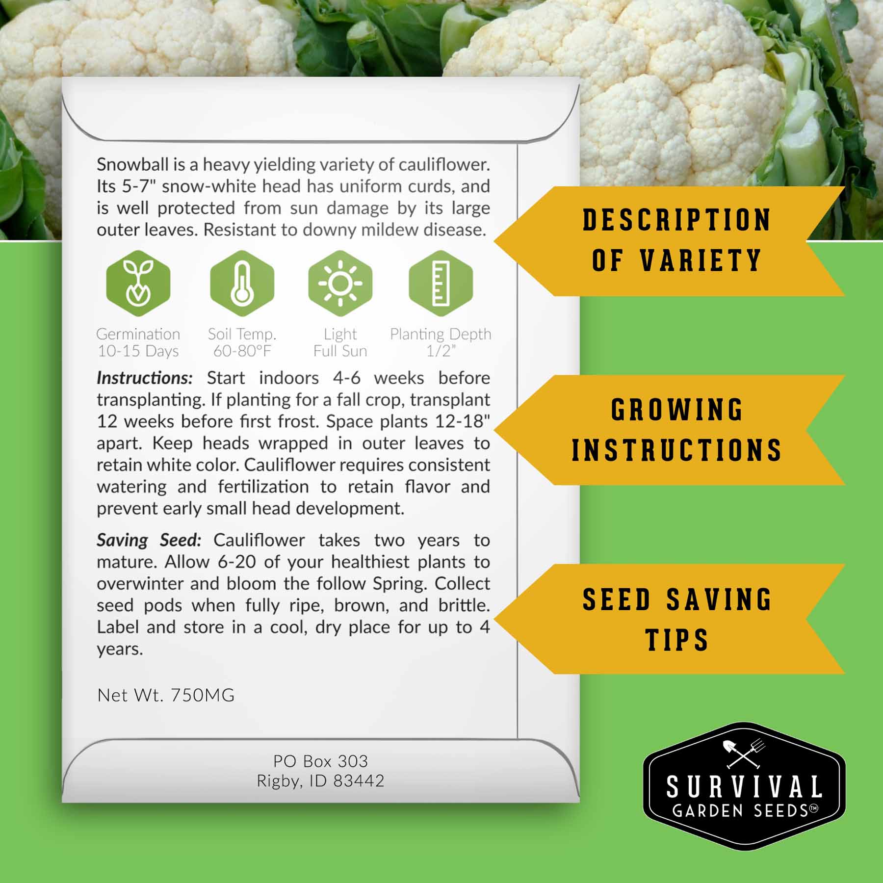 Complete Survival Garden Kit – 100 Seeds to Grow Food for Your Family - SurvivalGardenSeeds ~ Blessings Grow Meadows