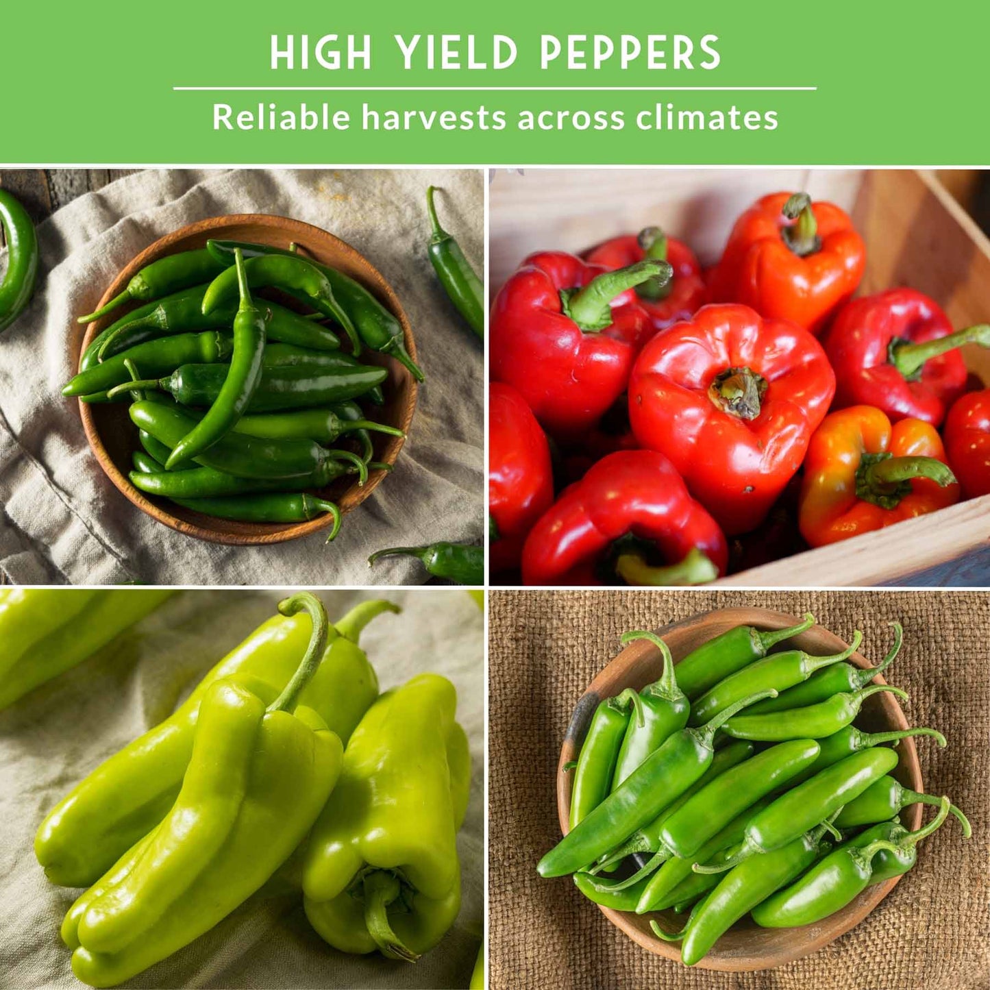 Four pepper seed packets featuring heirloom non-GMO hot and sweet peppers for salsas, roasting, and garden harvests.