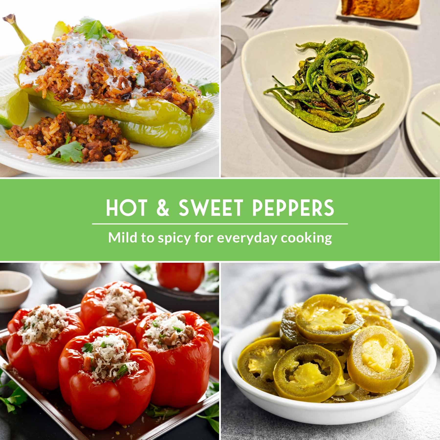 Heirloom non-GMO pepper seed collection with hot and sweet vegetable seeds for salsas, roasting, and fresh garden harvests.