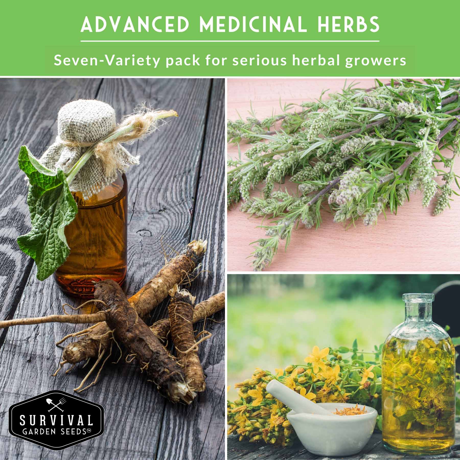Herbalist Bundle with 8 heirloom perennial and biennial herb seeds for advanced apothecary gardens from SurvivalGardenSeeds.