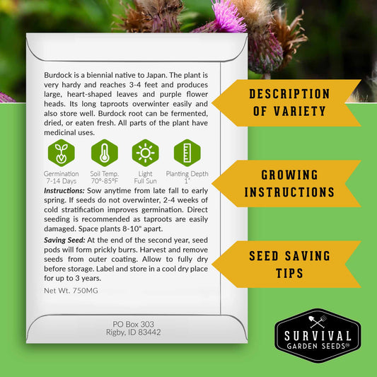 Herbalist Bundle with 8 varieties of heirloom perennial and biennial herb seeds for advanced apothecary gardens.