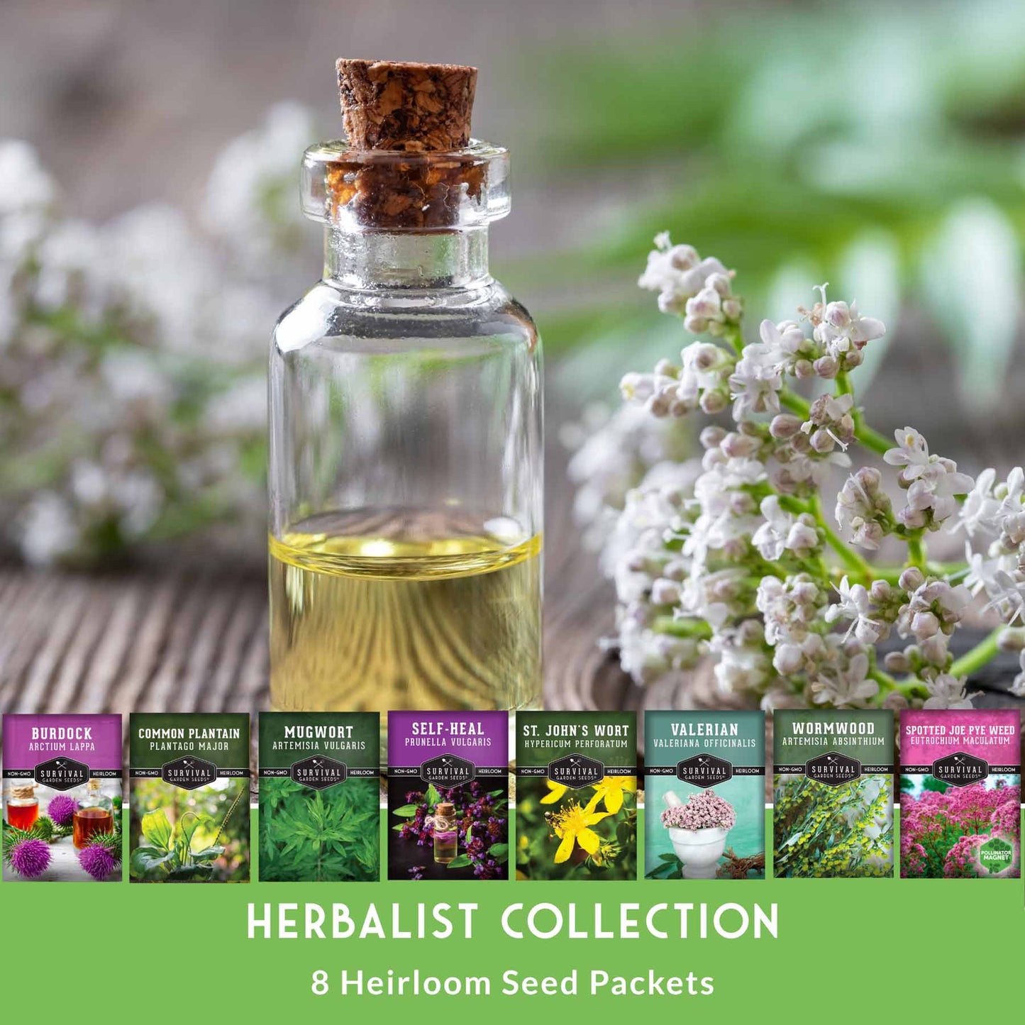 Herbalist Bundle with 8 varieties of heirloom perennial and biennial herb seeds for advanced apothecary gardens.