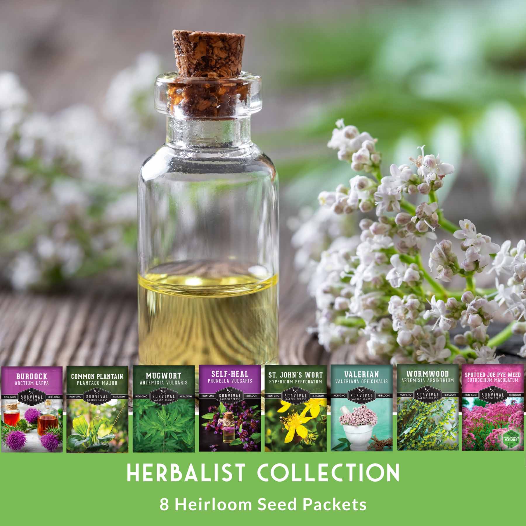 Herbalist Bundle with 8 varieties of heirloom perennial and biennial herb seeds for advanced apothecary gardens.