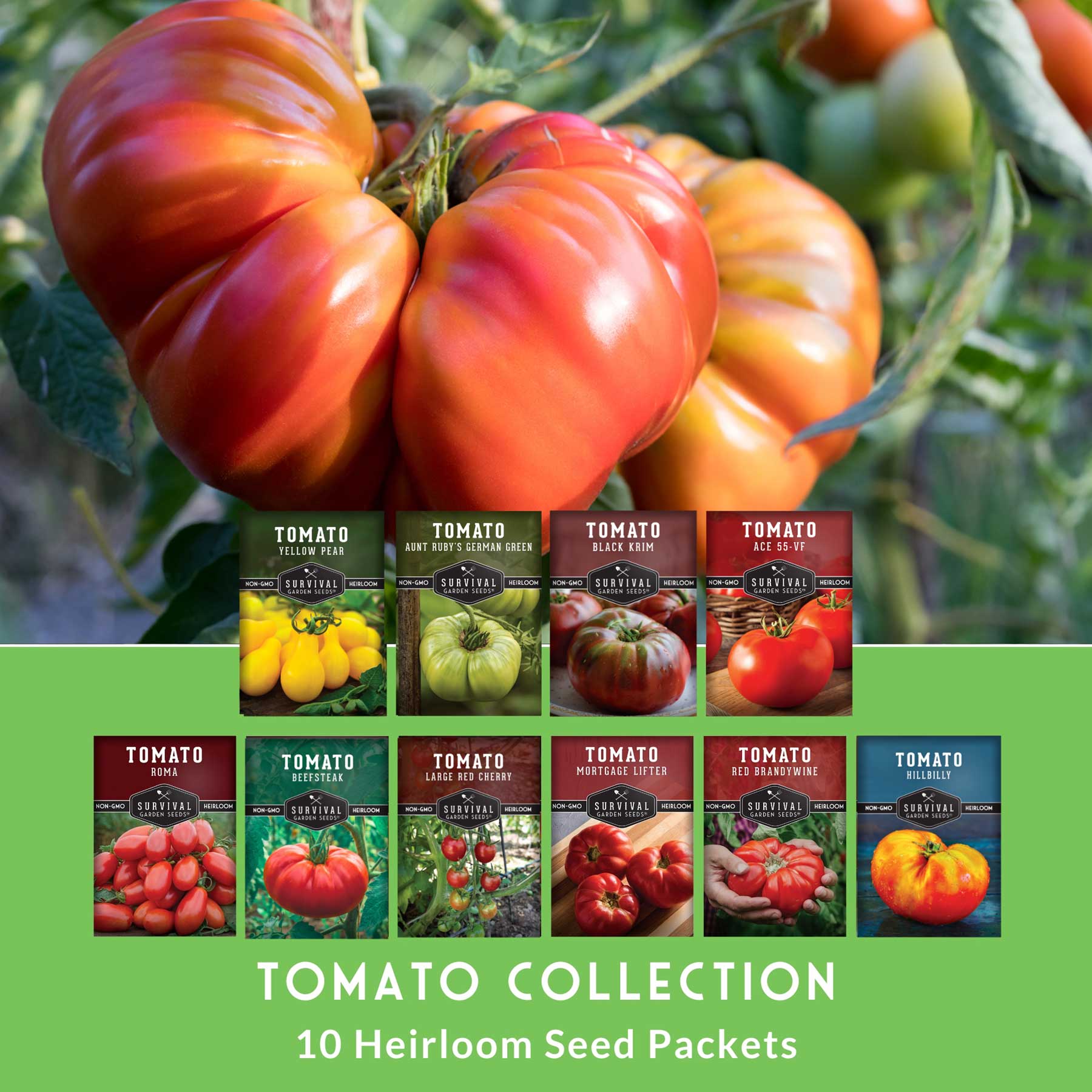 10 tomato seed collection from SurvivalGardenSeeds, showing vibrant heirloom and garden tomato seeds for slicing, sauces, and fresh eating.