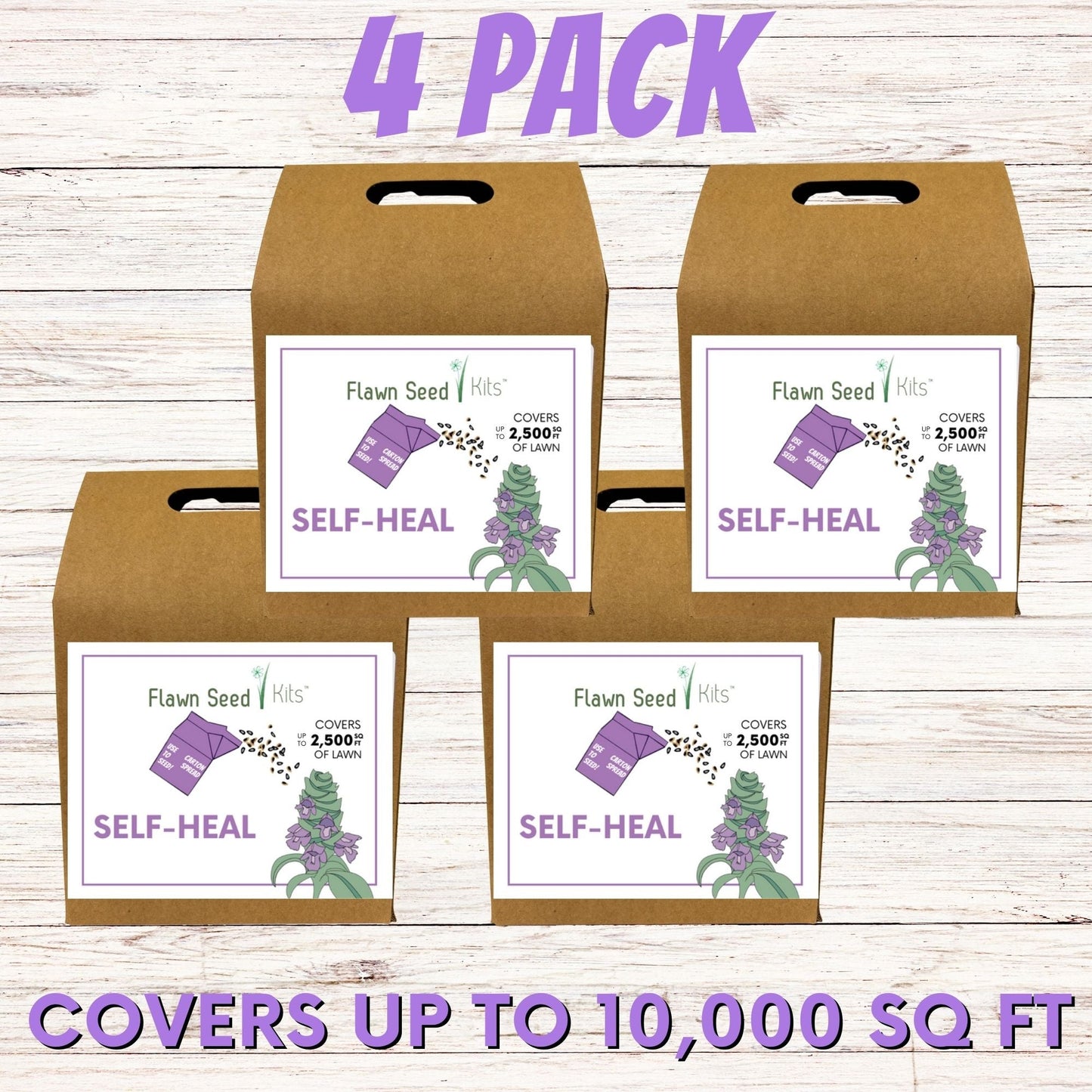 Self-Heal "Heal-All" Eco-Friendly Seeding Kit (Limited Time) - Blessings Grow Meadows
