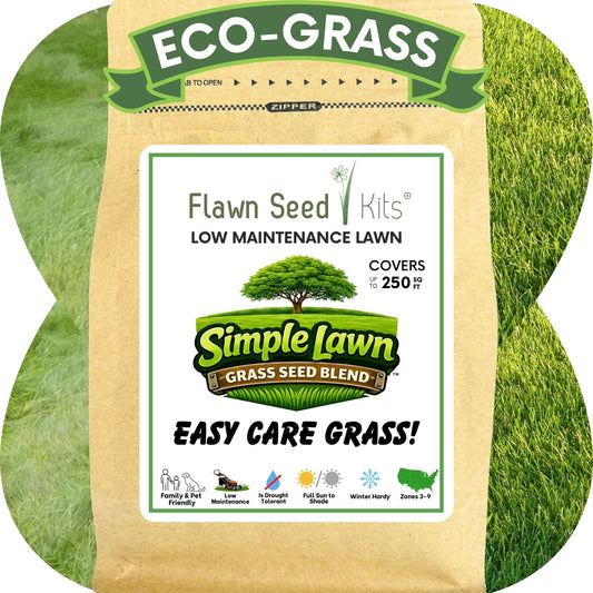 Close-up of Simple Lawn Fine Fescue Grass Seed in seed tape from Flawn Seed Kits, showing green grass seeds aligned on biodegradable tape.