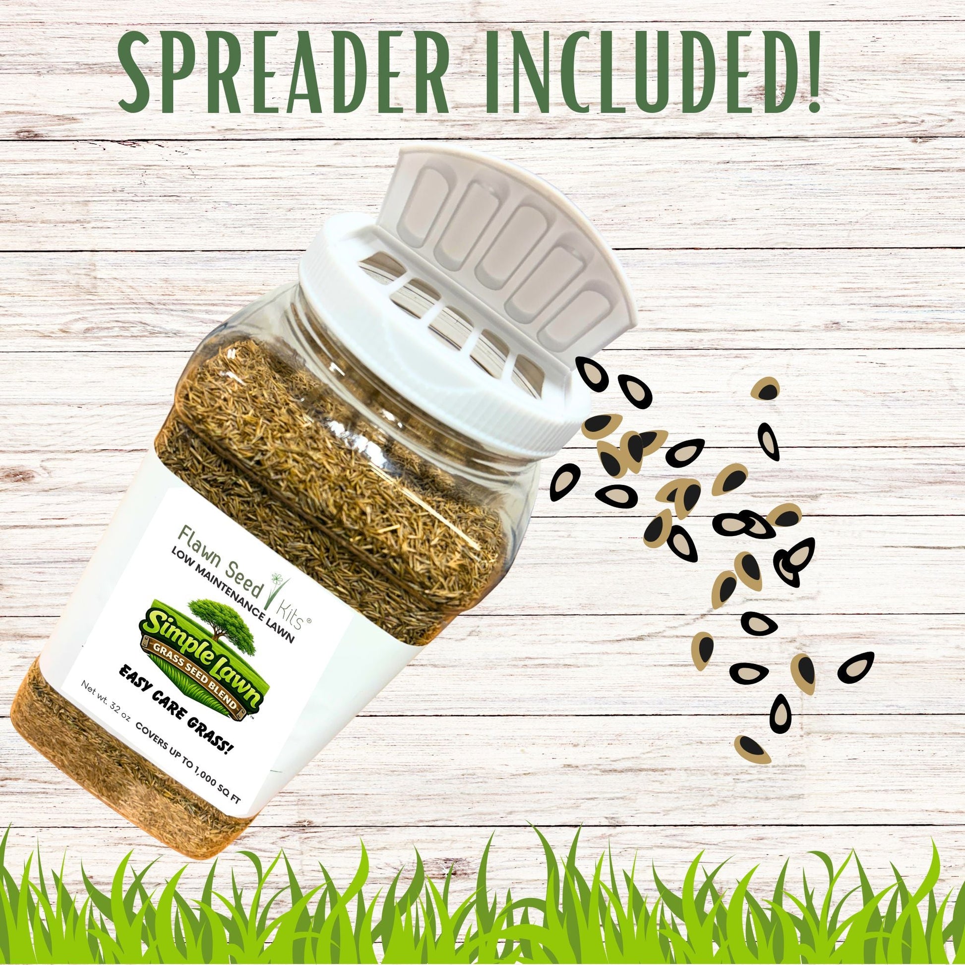 Fine fescue grass seed in a spreader from Flawn Seed Kits, ideal for easy lawn seeding with seed tape and spreading equipment.