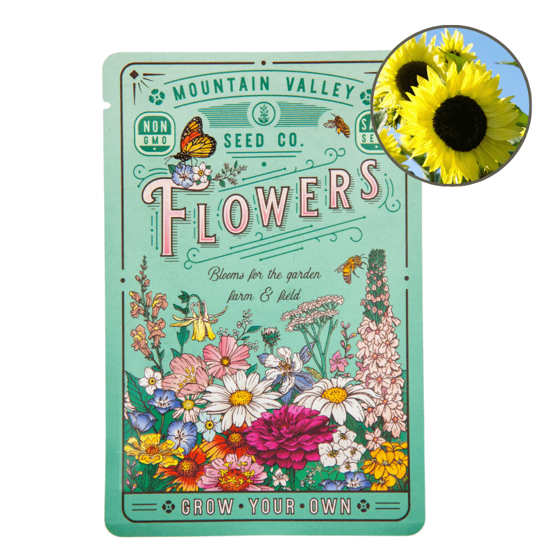 Lemon Queen Sunflower - Blessings Grow Meadows