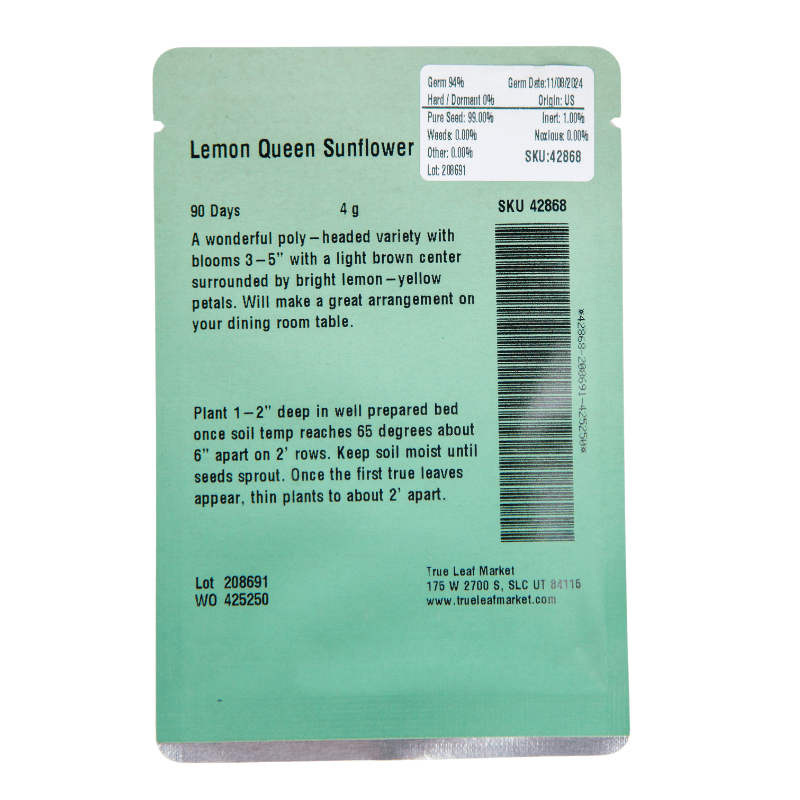 Lemon Queen Sunflower - Blessings Grow Meadows