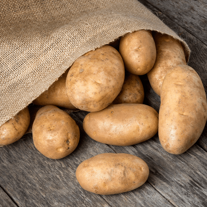 Organic Burbank Russet Seed Potato (lb) - Blessings Grow Meadows