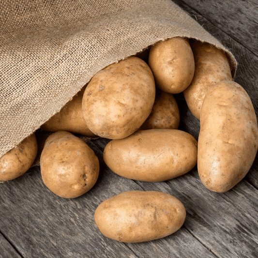 Organic Burbank Russet Seed Potato (lb) - Blessings Grow Meadows