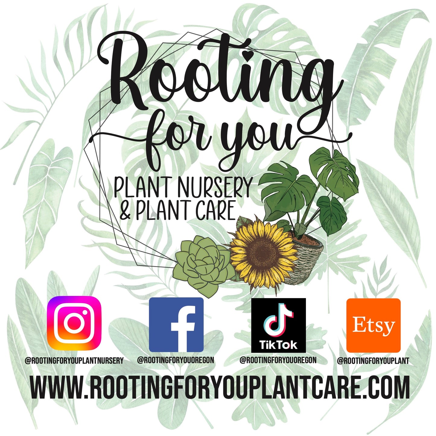 Organic vegan rooting powder from Rooting For You Plant Nursery, suitable for all soil types, shown in a natural plant setting