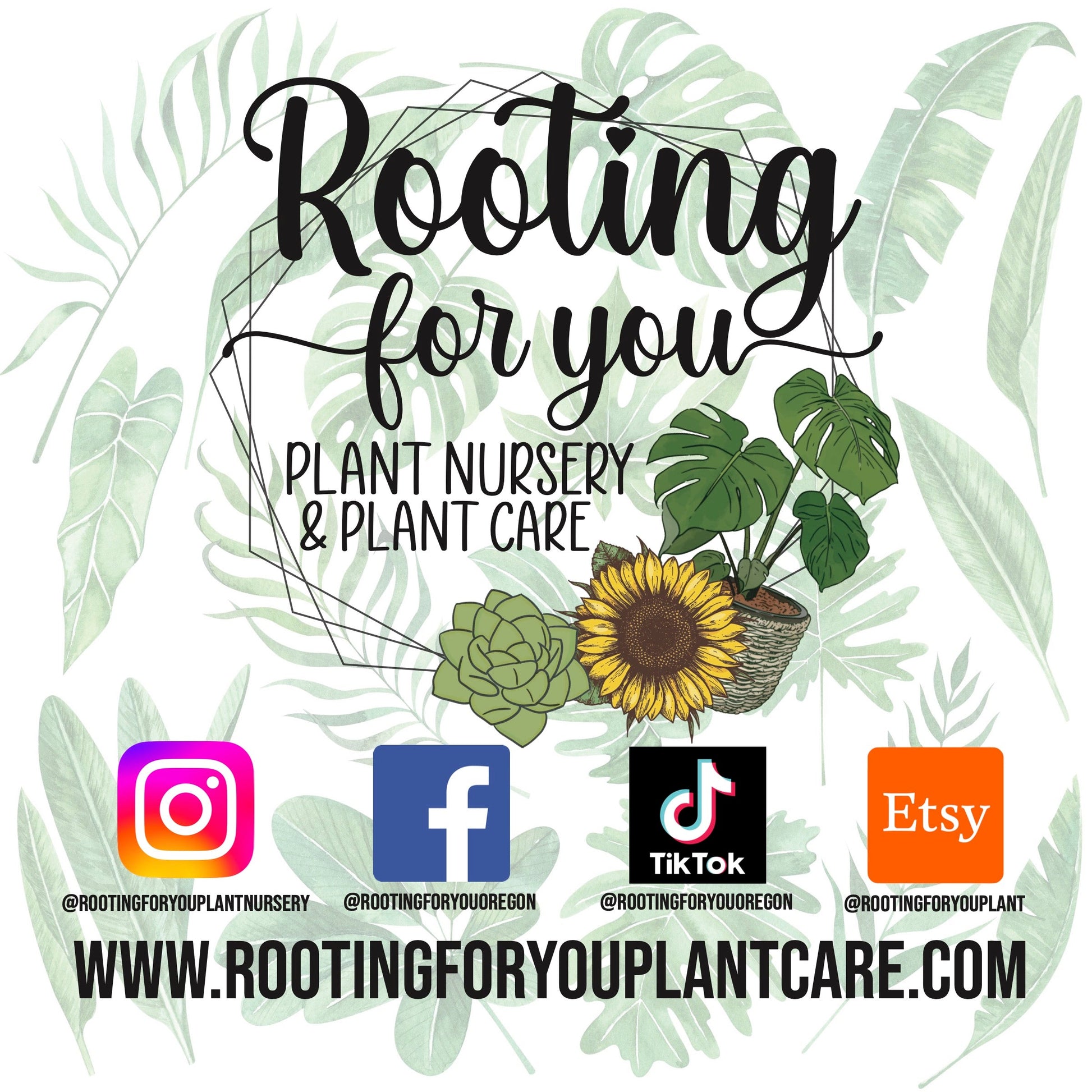 Organic vegan rooting powder from Rooting For You Plant Nursery, suitable for all soil types, shown in a natural plant setting