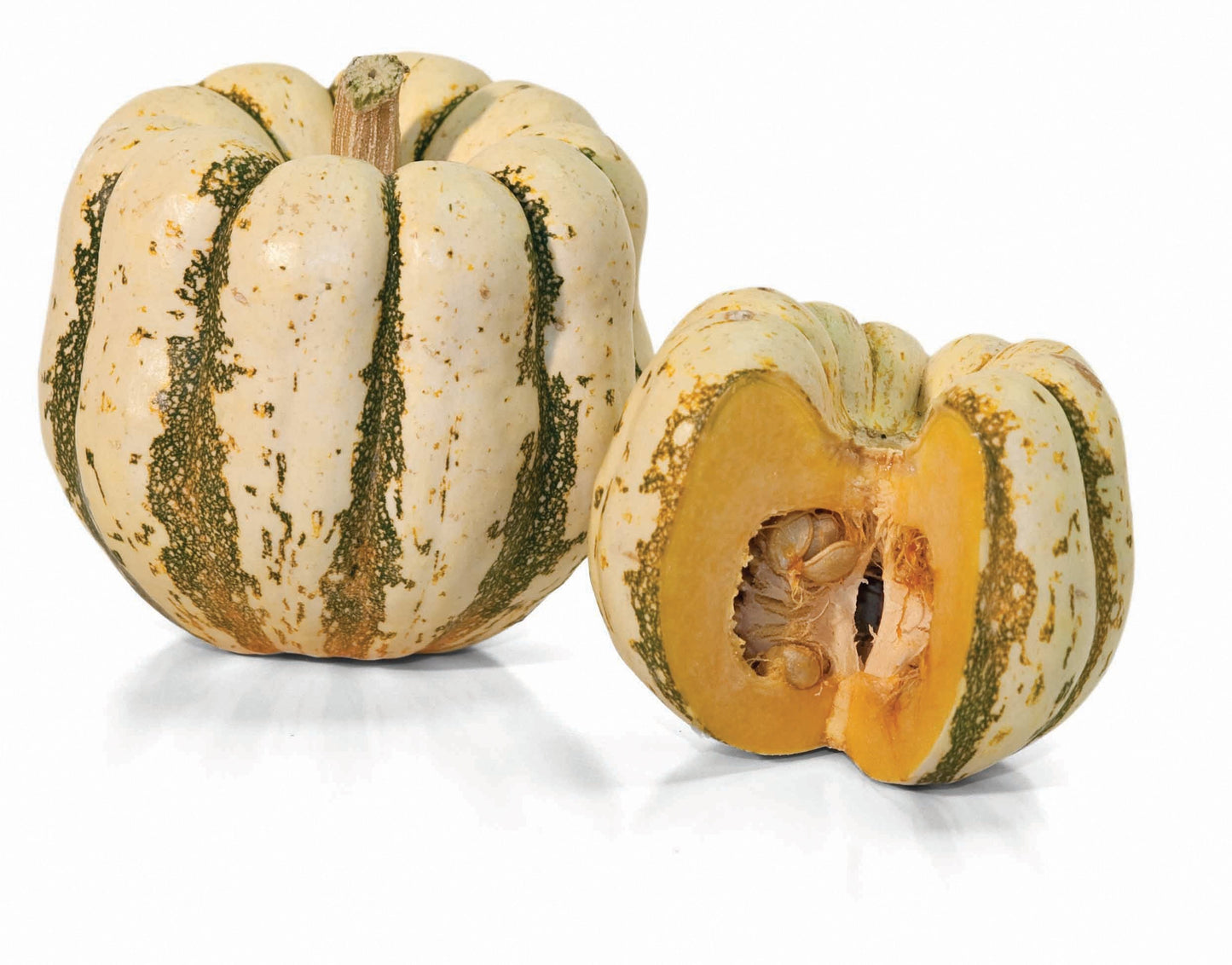 Sweet Dumpling Squash - Blessings Grow Meadows