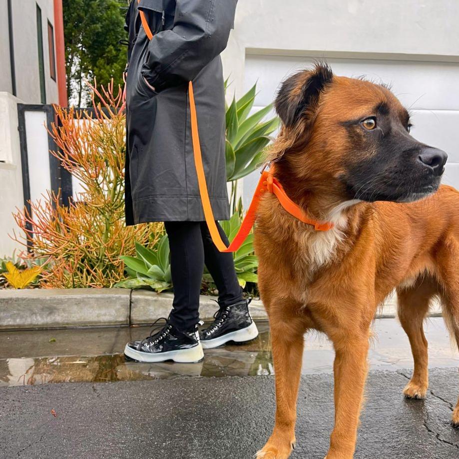 PVC handsfree dog leash by Tilley + Me, waterproof, durable, odor-resistant, with a secure handle and adjustable features.