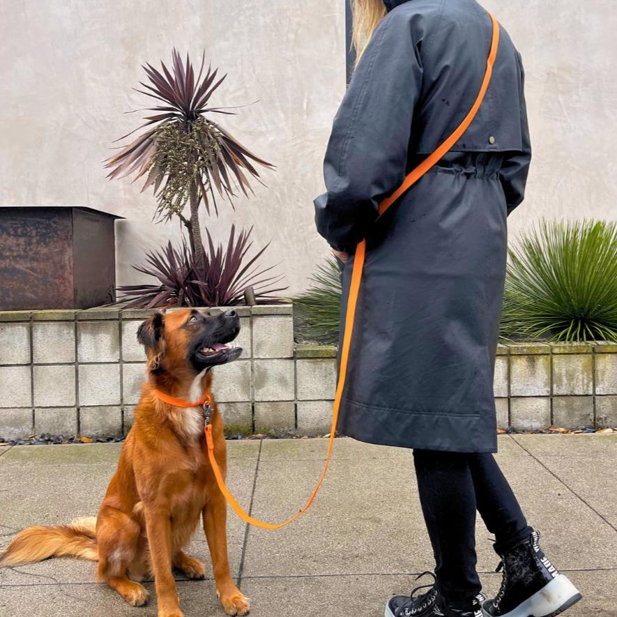 Waterproof PVC dog collar by Tilley + Me, durable and odor-resistant, suitable for all weather conditions.