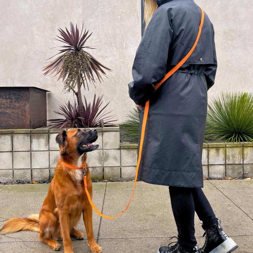 Tilley + Me waterproof PVC handsfree dog leash with adjustable handle, durable, odor-resistant, ideal for all weather outdoor walks.