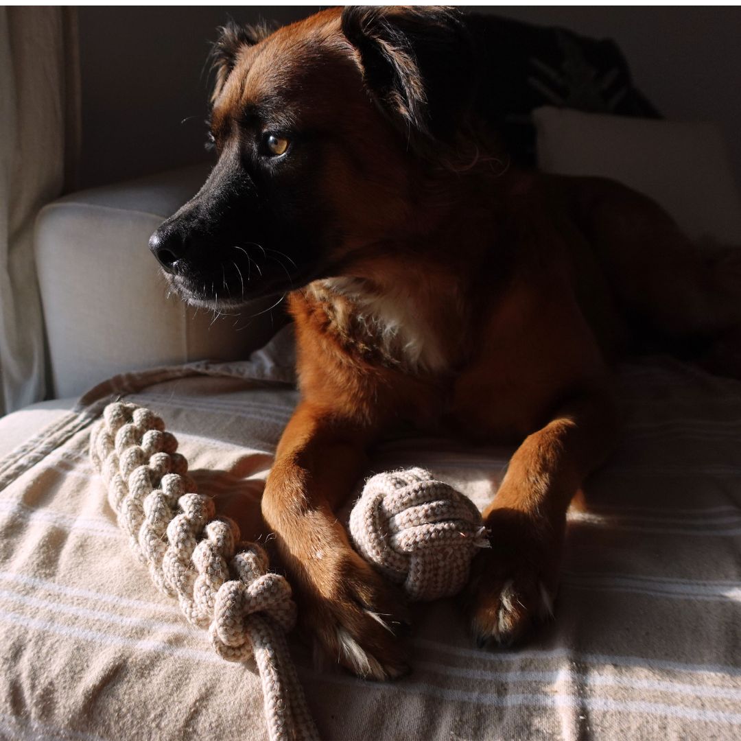 Durable hemp rope tug toy for dogs by Tilley + Me, featuring a thick, twisted hemp design perfect for chewing and playing.