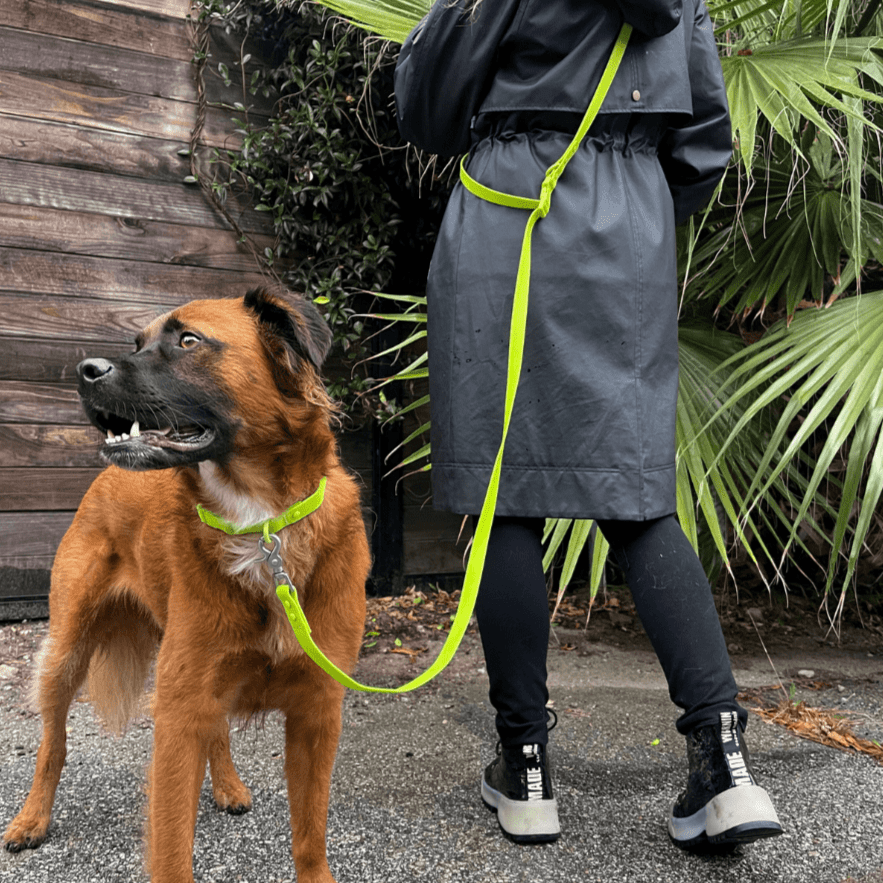 Tilley + Me PVC handsfree dog leash in black, waterproof, durable, and odor-resistant, shown with a dog outdoors.