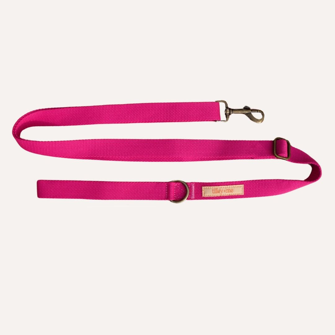 Hemp Cotton Dog Leash - Durable, Sustainable, Adjustable, Lightweight & Soft - Tilley + Me ~ Blessings Grow Meadows
