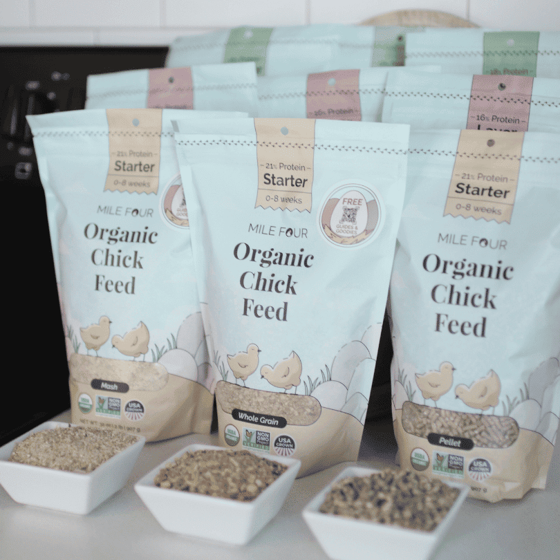 Starter Organic Chicken Feed - Blessings Grow Meadows